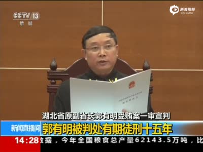 湖北原副省长郭有明受贿2380万 获刑15年