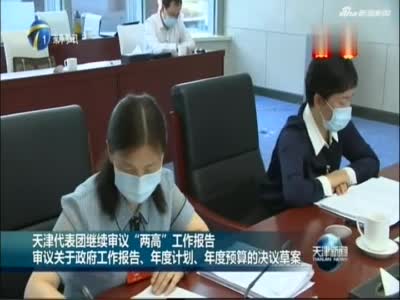 天津代表团继续审议“两高”工作报告