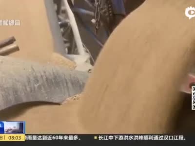 视频｜上海：启动粮食保管应急处置预案 确保存粮安全度过梅雨季