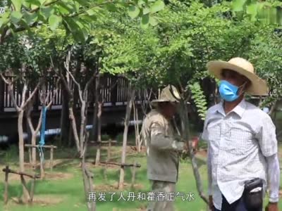 炎炎夏日 致敬武汉城市园丁