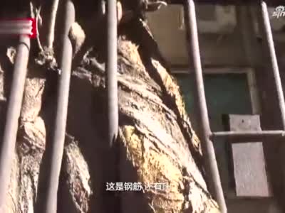 郑州霸气枸桃树一口气“吞下”5根钢筋栅栏 依然坚强的活着