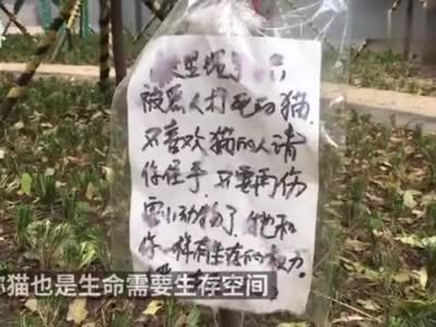 西安一小区流浪猫肚子被剖开，居民称一年内有多只猫死亡