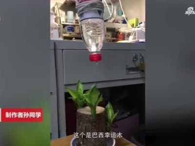 大学生放假前自制装备给盆栽浇水 网友:可以申请专利了
