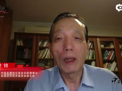 刘世锦：金融风险在扩大