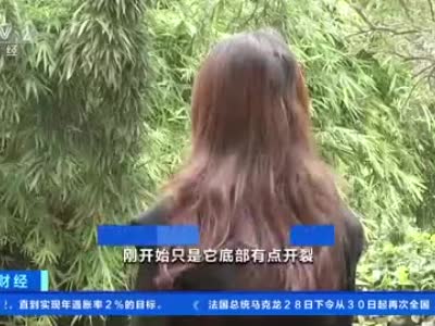 视频|江苏扬州一女子134元网购手机配件 牵出1.1亿元制假案