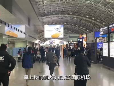 视频|双流机场现场：秩序井然 进入航站楼必须出示健康码