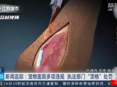 南京河西中心动物医院多项违规 执法部门“顶格”处罚