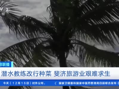 斐济旅游业遭受疫情重创 潜水教练改行种地