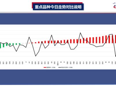 中天策略视频20210205：有色化工接力反弹 相关品种强势新高