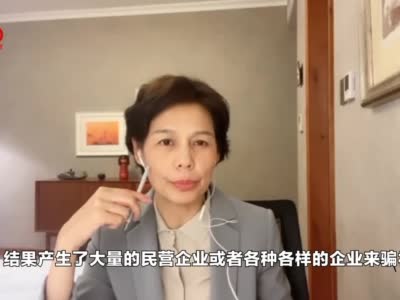 视频丨林采宜：政府应避免采用补贴的方式推动产业政策