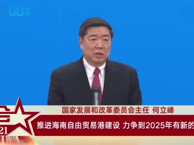 何立峰：推进海南自由贸易港建设 力争到2025年有新的重大进展