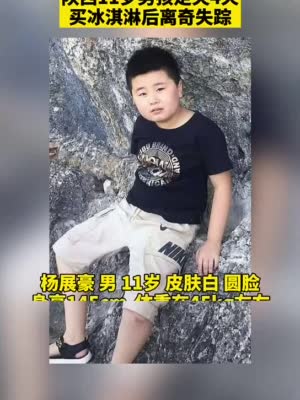 谁见过他？#陕西11岁男孩走失已4天# 父亲酬谢15万！