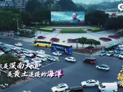 向平凡的微光致敬