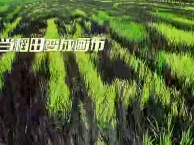 天津：稻田画里说丰收 又是一年好光景
