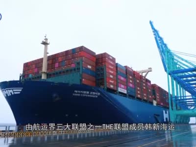 中欧直航！天津港开通今年首条直达欧洲新航线