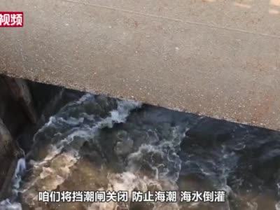 记者直击京津冀洪水入海“最后一关”
