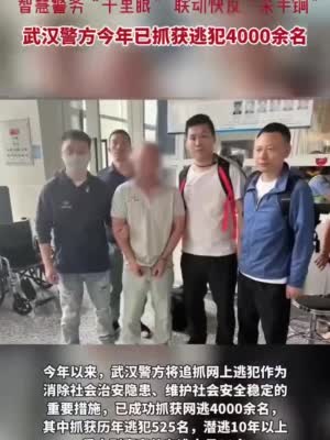 武汉警方今年抓获4000余名网逃