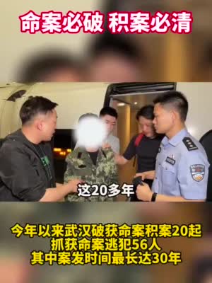 武汉今年破获命案积案20起抓56人