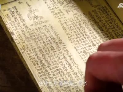 大雪｜点一支雪中春信 闻见“苏轼浪漫”