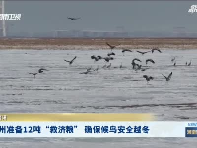 郑州准备12吨“救济粮” 确保候鸟安全越冬